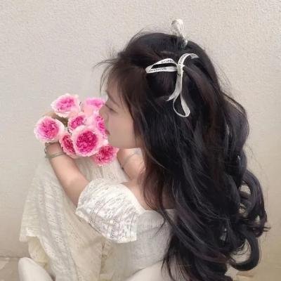 海角红颜 封面